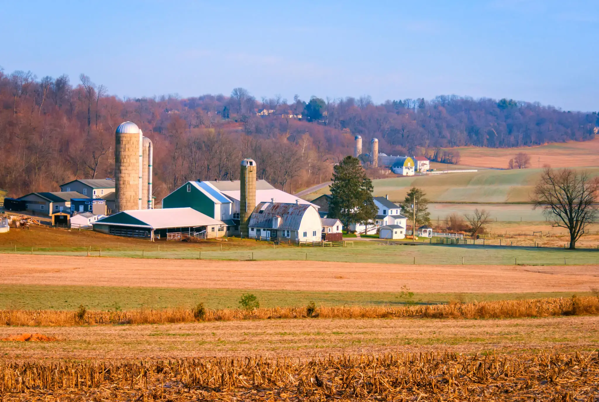 A rural farm with silos and barns in a peaceful countryside setting.